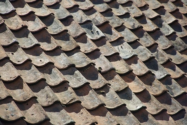 Old_terracotta_roof_tiles_pattern.