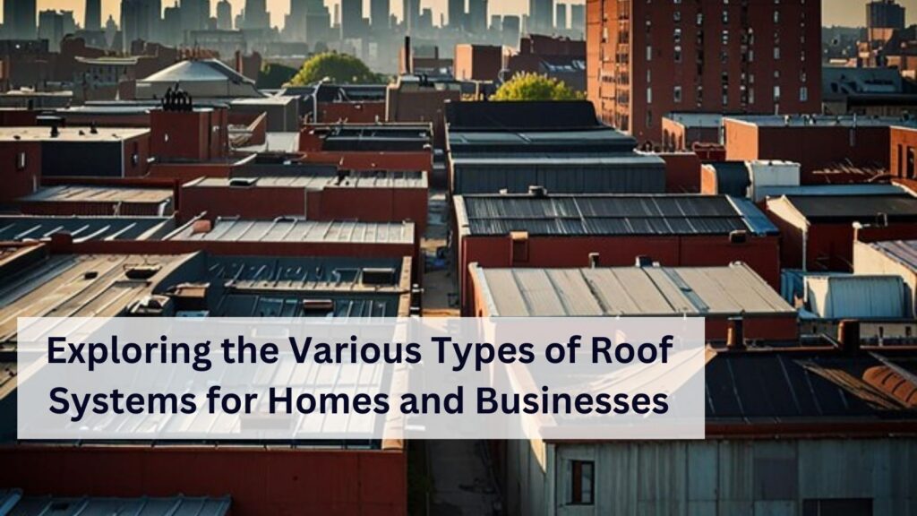 Exploring the Various Types of Roof Systems for Homes and Businesses